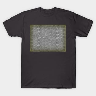 Weathered Roman stone carving T-Shirt